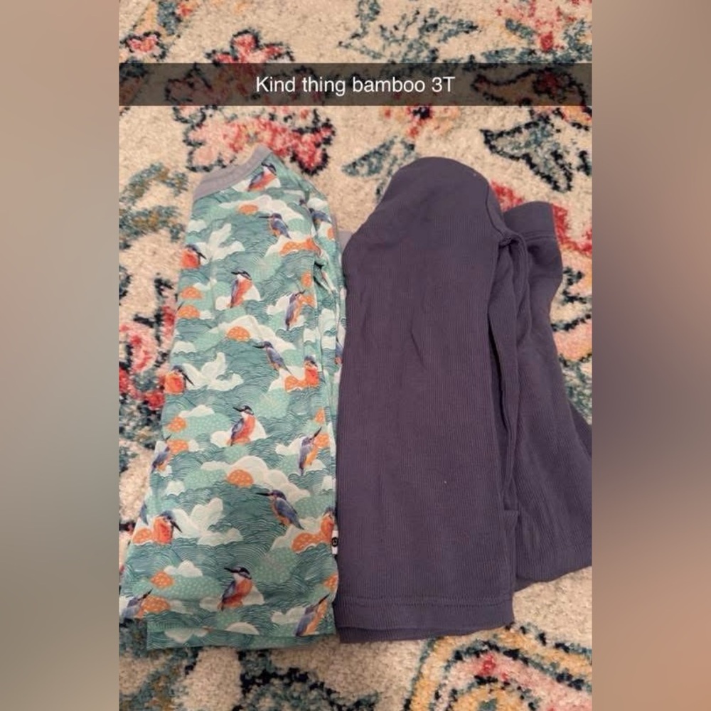 Blue and Bird Print Bamboo Pajama Set (2 pairs)